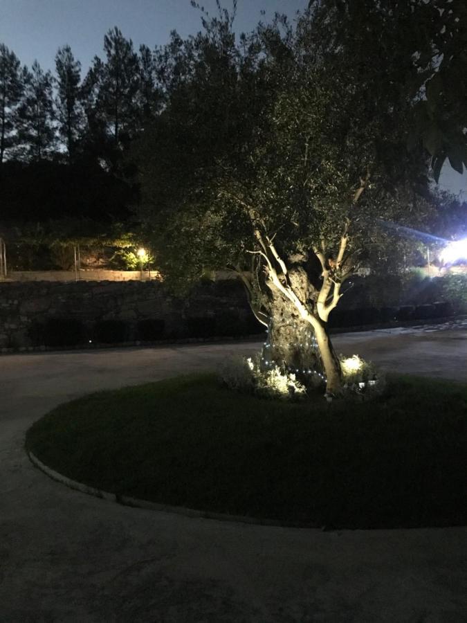 Agia Mavri House Villa Koilani Екстериор снимка